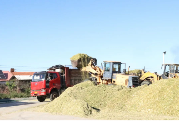 610cfdb0582f9.png 微信圖片_20210806171156.png