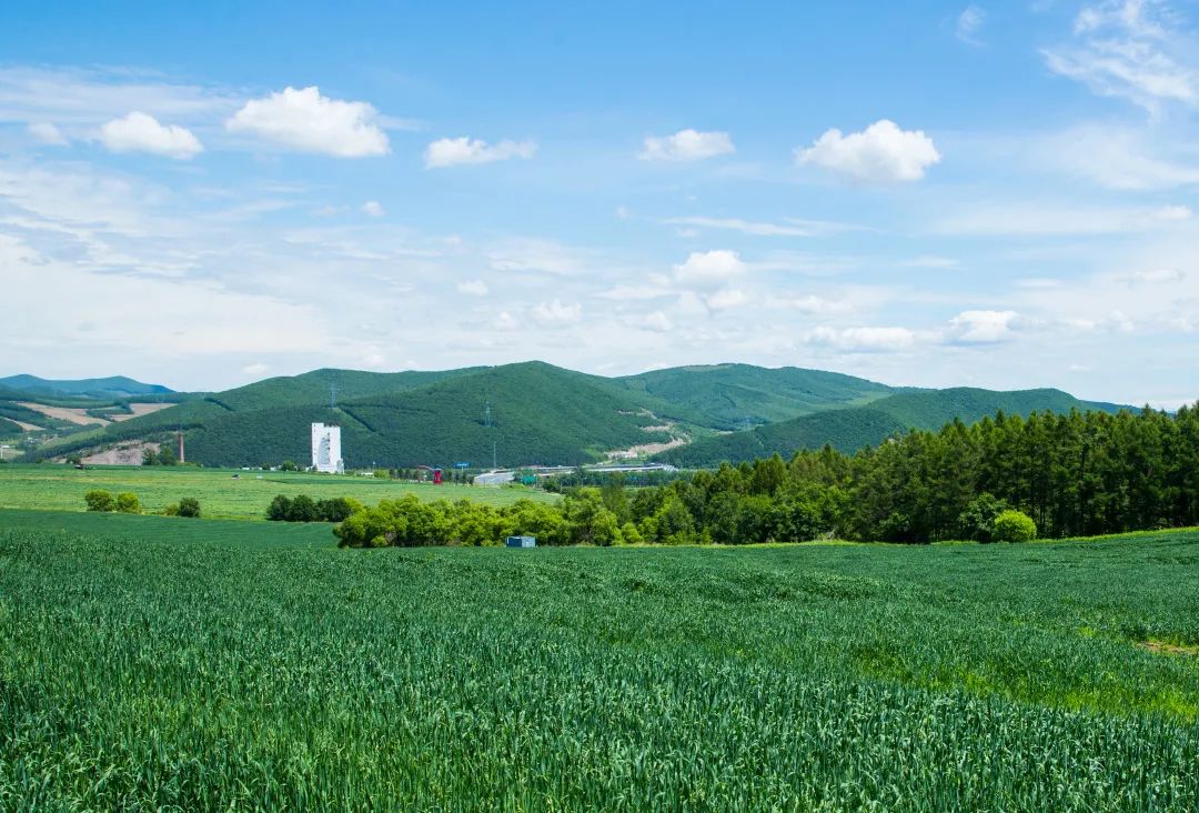 637309ef558b7.jpg 微信圖片_20221115113457.jpg